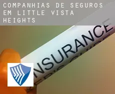 Companhias de seguros em Little Vista Heights