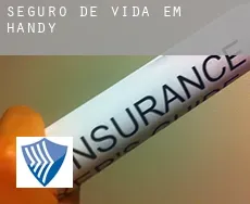 Seguro de vida em  Handy