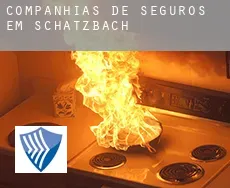 Companhias de seguros em  Schatzbach