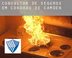 Consultor de seguros em  Condado de Camden