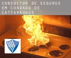 Consultor de seguros em  Condado de Cattaraugus