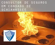 Consultor de seguros em  Condado de Schiawassee