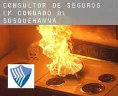 Consultor de seguros em  Condado de Susquehanna