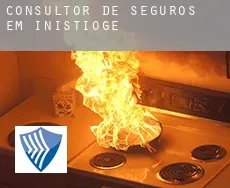 Consultor de seguros em  Inistioge