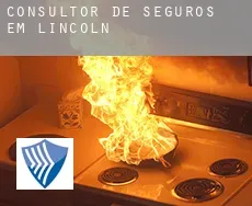 Consultor de seguros em  Lincoln