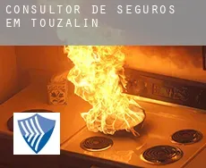 Consultor de seguros em  Touzalin