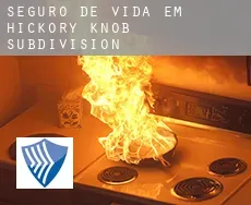 Seguro de vida em  Hickory Knob Subdivision