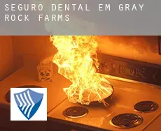 Seguro dental em  Gray Rock Farms