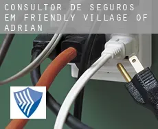 Consultor de seguros em  Friendly Village of Adrian