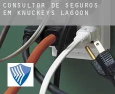 Consultor de seguros em  Knuckeys Lagoon