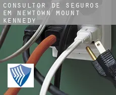 Consultor de seguros em  Newtown Mount Kennedy
