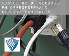 Consultor de seguros em  Oberspreewald-Lausitz Landkreis