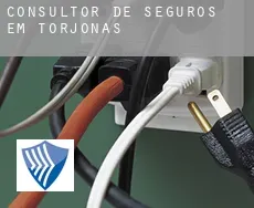 Consultor de seguros em  Torjonas