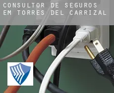 Consultor de seguros em  Torres del Carrizal