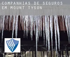 Companhias de seguros em  Mount Tyson