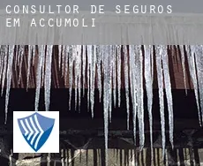 Consultor de seguros em  Accumoli