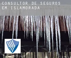 Consultor de seguros em Islamorada