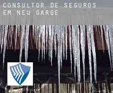 Consultor de seguros em  Neu Garge
