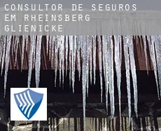 Consultor de seguros em  Rheinsberg-Glienicke