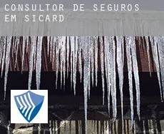 Consultor de seguros em  Sicard