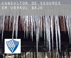 Consultor de seguros em  Urraul Bajo