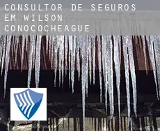 Consultor de seguros em  Wilson-Conococheague