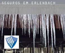 Seguros em  Erlenbach