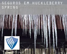 Seguros em Huckleberry Spring