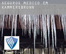 Seguros médico em  Kammersbrunn