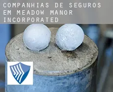 Companhias de seguros em Meadow Manor Incorporated