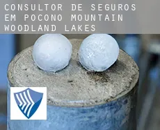 Consultor de seguros em  Pocono Mountain Woodland Lakes