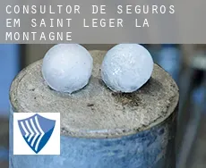 Consultor de seguros em  Saint-Léger-la-Montagne
