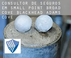 Consultor de seguros em  Small Point-Broad Cove-Blackhead-Adams Cove