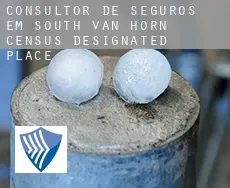 Consultor de seguros em  South Van Horn