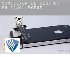 Consultor de seguros em  Bayou Boeuf