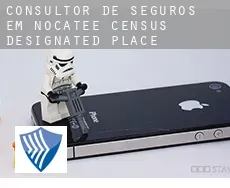 Consultor de seguros em  Nocatee