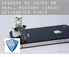 Seguros de autos em  Swall Meadows