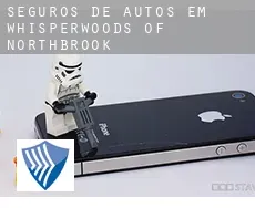 Seguros de autos em  Whisperwoods of Northbrook