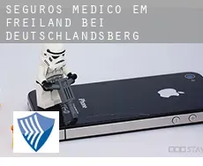 Seguros médico em  Freiland bei Deutschlandsberg
