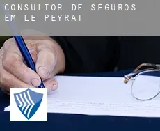 Consultor de seguros em  Le Peyrat