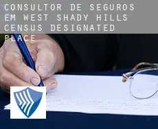 Consultor de seguros em  West Shady Hills