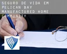 Seguro de vida em  Pelican Bay Manufactured Home Community