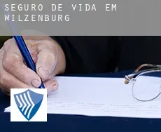 Seguro de vida em  Wilzenburg