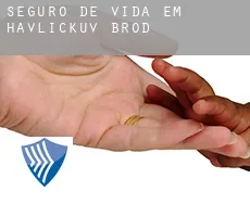 Seguro de vida em  Havlíčkův Brod