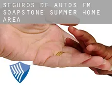 Seguros de autos em  Soapstone Summer Home Area