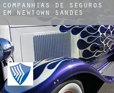 Companhias de seguros em  Newtown Sandes