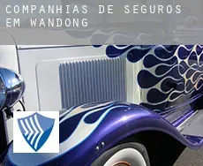 Companhias de seguros em  Wandong