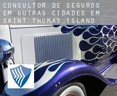Consultor de seguros em  Outras cidades em Saint Thomas Island