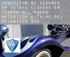 Consultor de seguros em  Outras cidades em Tierra del Fuego, Antartida e Islas del Atlantico Sur