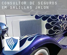 Consultor de seguros em  Salillas de Jalón